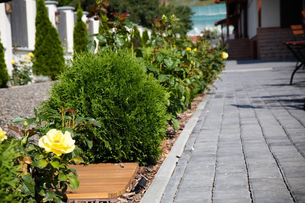 Country Court Bed and Breakfast Curteni Εξωτερικό φωτογραφία